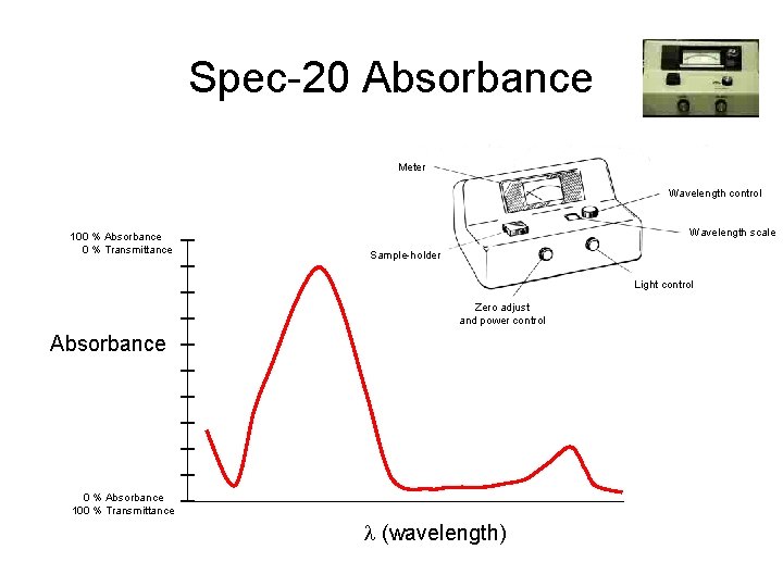 Spec-20 Absorbance Insert Photograph Spec-20 Meter Wavelength control 100 % Absorbance 0 % Transmittance