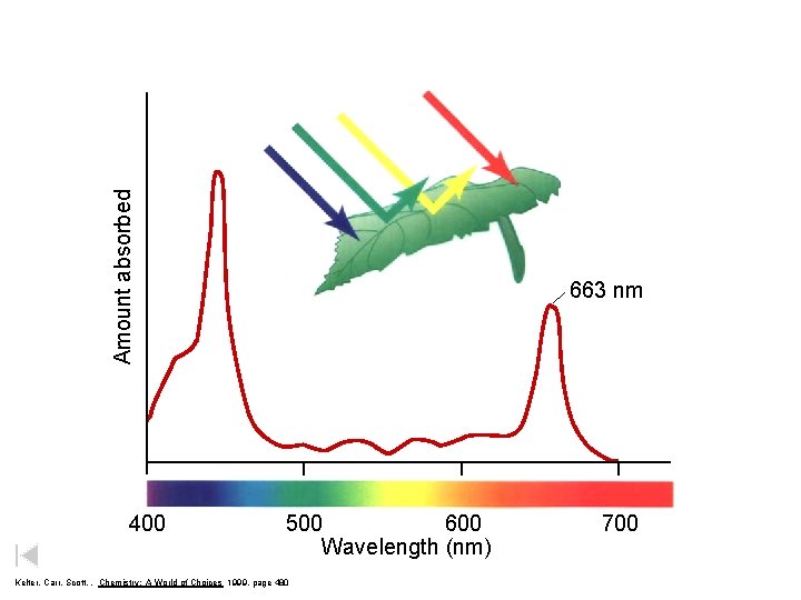 Amount absorbed 400 663 nm 500 600 Wavelength (nm) Kelter, Carr, Scott, , Chemistry: