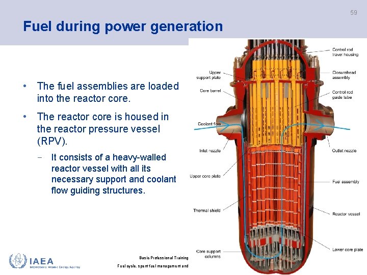 59 Fuel during power generation • The fuel assemblies are loaded into the reactor