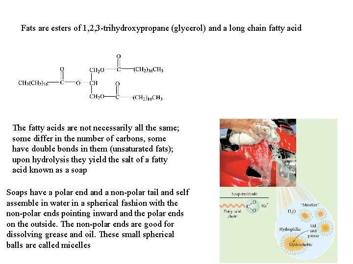 Fats are esters of 1, 2, 3 -trihydroxypropane (glycerol) and a long chain fatty