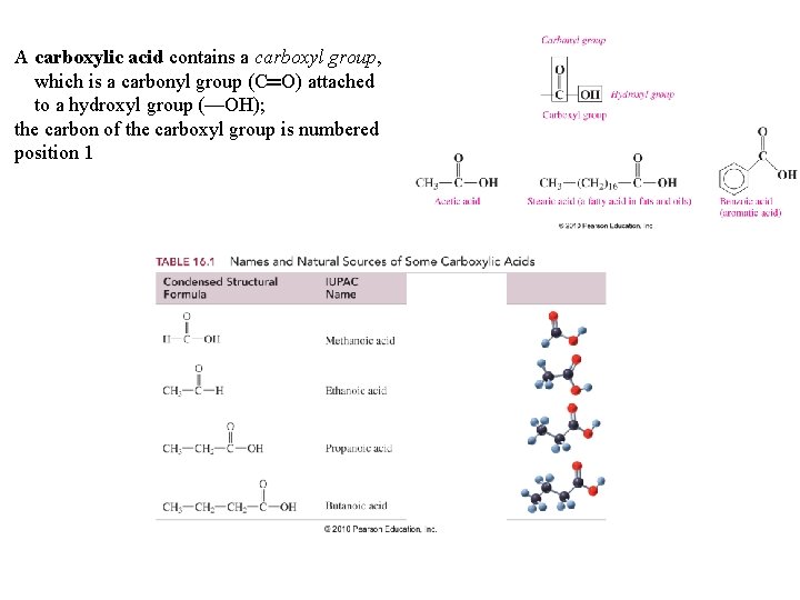 A carboxylic acid contains a carboxyl group, which is a carbonyl group (C═O) attached