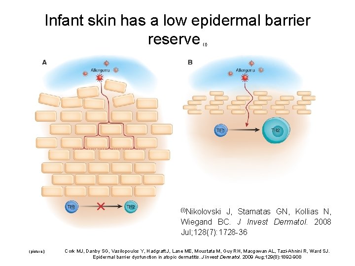 Infant skin has a low epidermal barrier reserve (i)Nikolovski J, Stamatas GN, Kollias N,