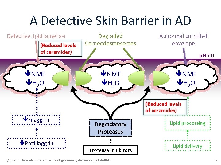 A Defective Skin Barrier in AD Defective lipid lamellae (Reduced levels of ceramides) NMF