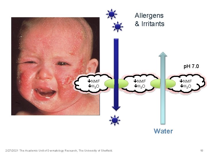 Allergens & Irritants p. H 7. 0 NMF H 2 O Water 2/27/2021 The