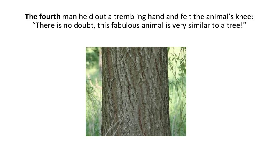 The fourth man held out a trembling hand felt the animal’s knee: “There is