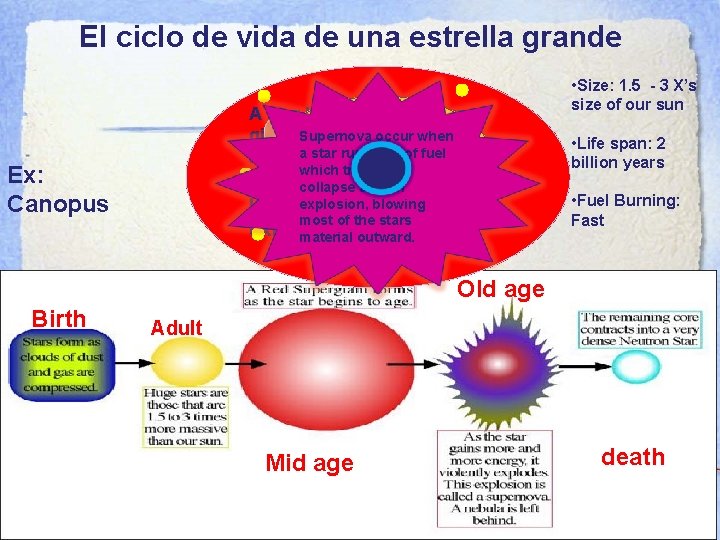 El ciclo de vida de una estrella grande A star becomes a red super