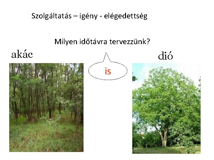 Szolgáltatás – igény - elégedettség Milyen időtávra tervezzünk? akác dió is 