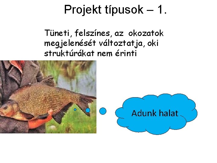 Projekt típusok – 1. Tüneti, felszínes, az okozatok megjelenését változtatja, oki struktúrákat nem érinti
