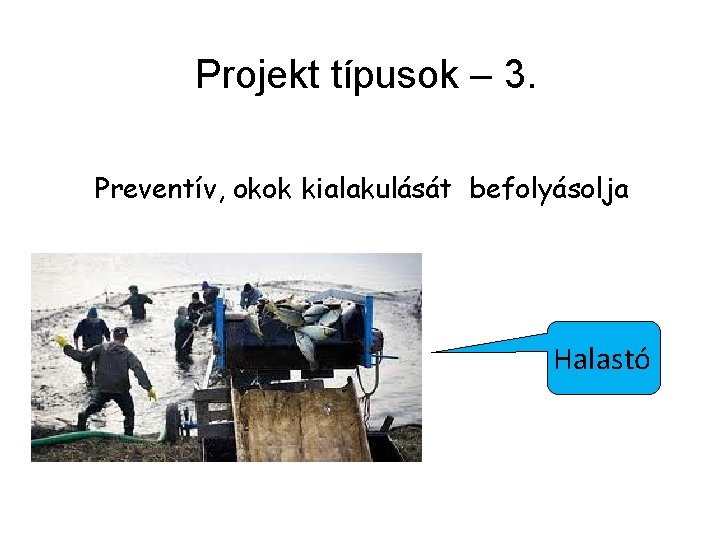 Projekt típusok – 3. Preventív, okok kialakulását befolyásolja Halastó 