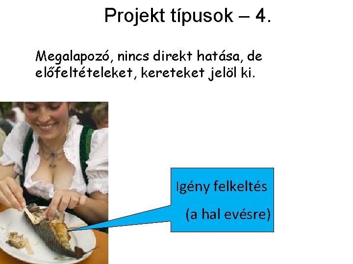 Projekt típusok – 4. Megalapozó, nincs direkt hatása, de előfeltételeket, kereteket jelöl ki. Igény