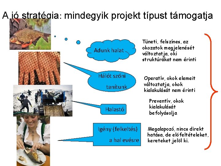 A jó stratégia: mindegyik projekt típust támogatja Adunk halat Hálót szőni tanítunk Halastó Igény