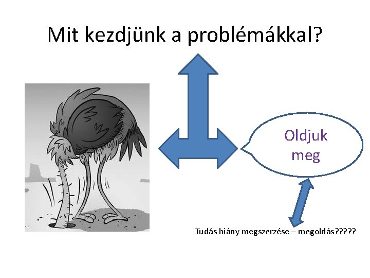 Mit kezdjünk a problémákkal? Oldjuk meg Tudás hiány megszerzése – megoldás? ? ? 