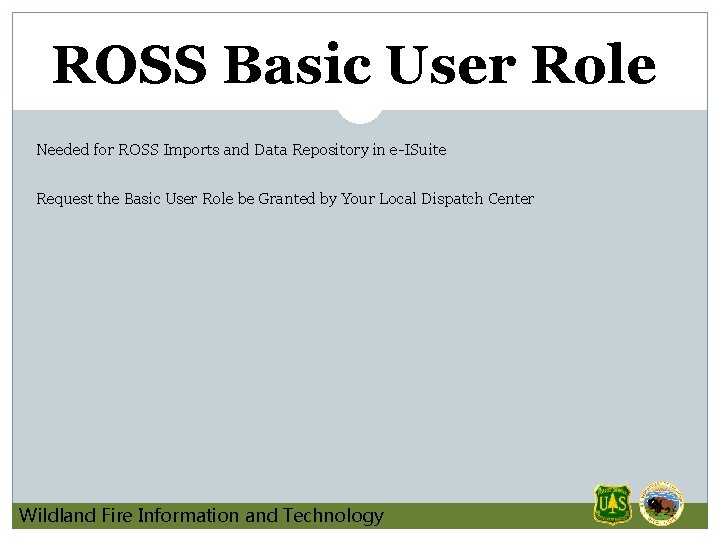 ROSS Basic User Role Needed for ROSS Imports and Data Repository in e-ISuite Request