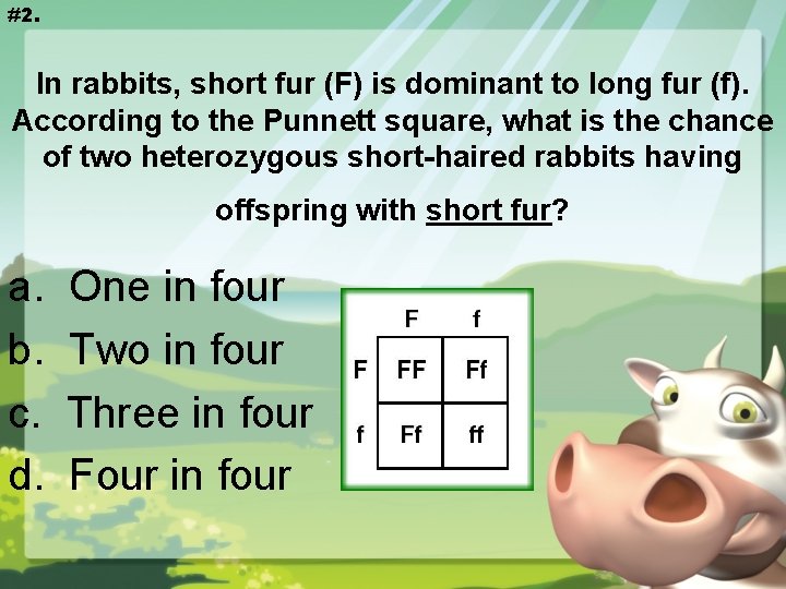 #2. In rabbits, short fur (F) is dominant to long fur (f). According to