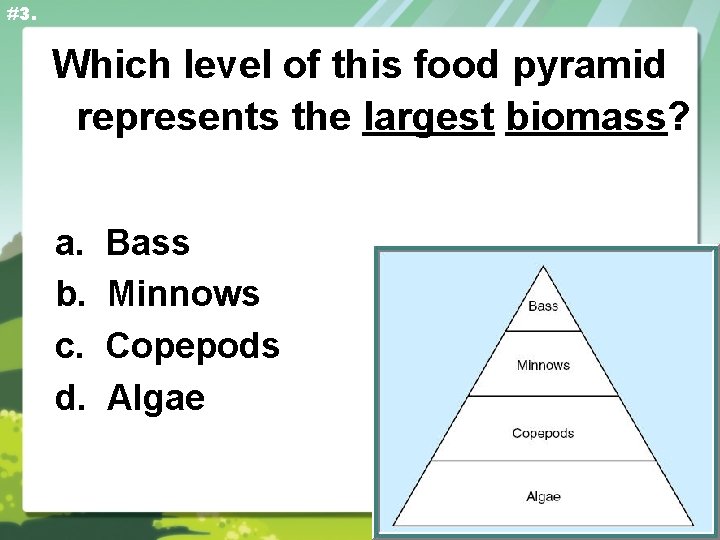 #3. Which level of this food pyramid represents the largest biomass? a. b. c.