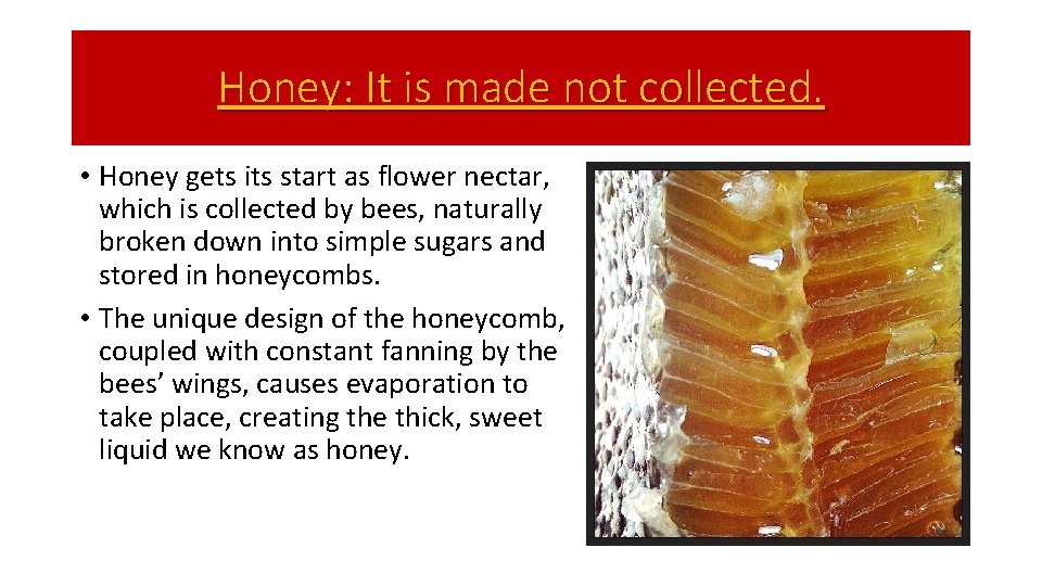 Honey: It is made not collected. • Honey gets its start as flower nectar,