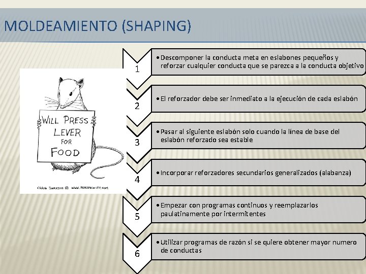 MOLDEAMIENTO (SHAPING) 1 2 3 4 5 6 • Descomponer la conducta meta en