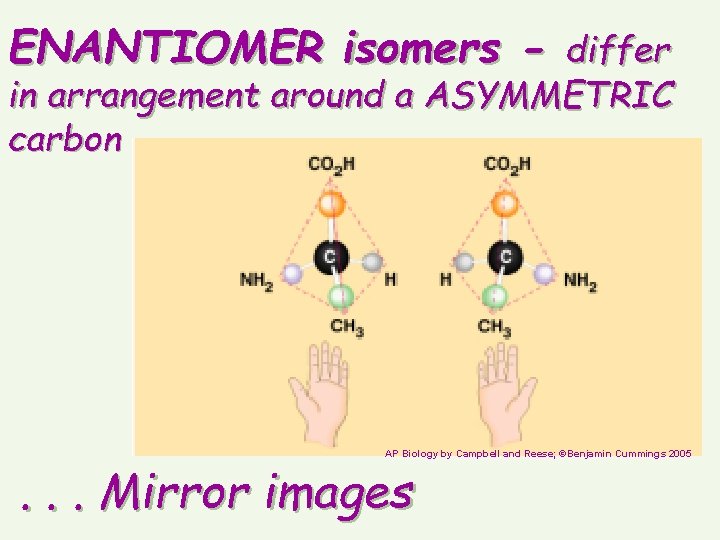 ENANTIOMER isomers - differ in arrangement around a ASYMMETRIC carbon AP Biology by Campbell