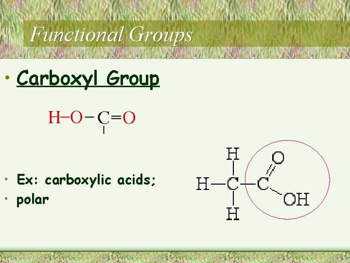 Functional Groups • Carboxyl Group • Ex: carboxylic acids; • polar 