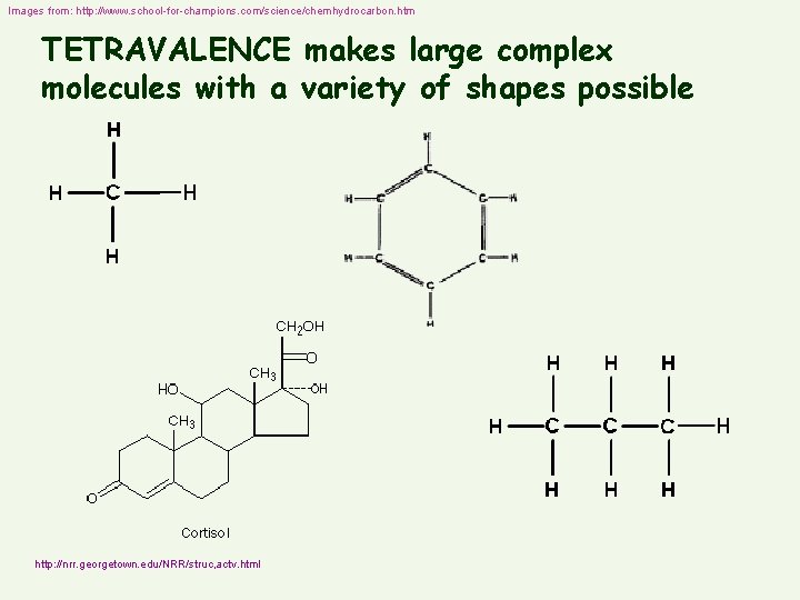 Images from: http: //www. school-for-champions. com/science/chemhydrocarbon. htm TETRAVALENCE makes large complex molecules with a