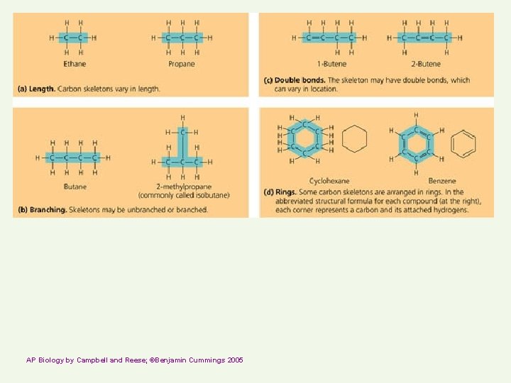 AP Biology by Campbell and Reese; ©Benjamin Cummings 2005 