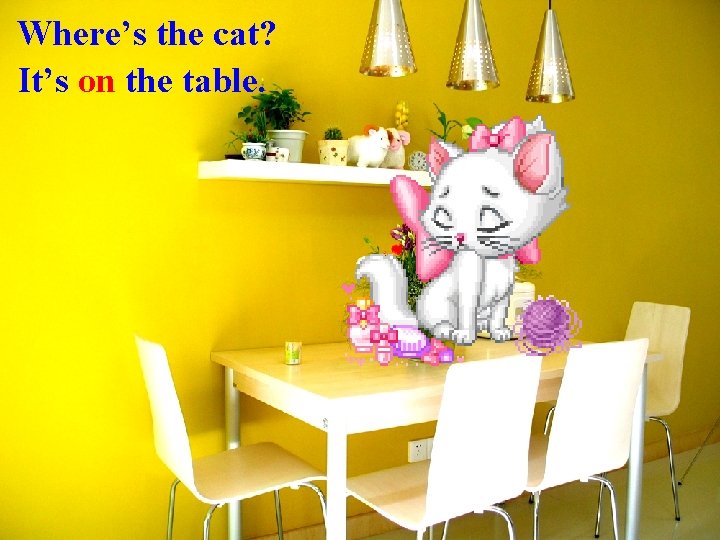 Where’s the cat? It’s on the table. 