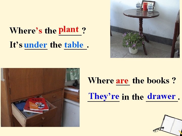 Where’s the plant _____? It’s under _____ the table _____. Where are ___ the