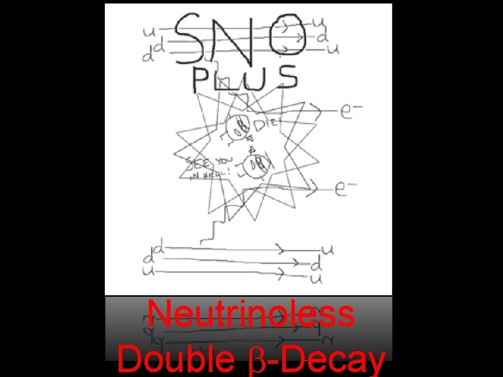 Neutrinoless Double -Decay 