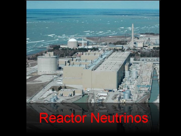 Reactor Neutrinos 