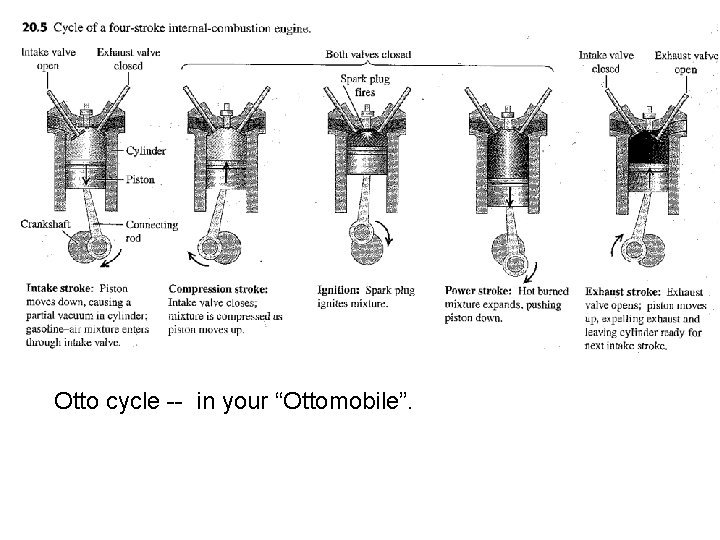 Otto cycle -- in your “Ottomobile”. 