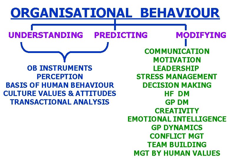 ORGANISATIONAL BEHAVIOUR UNDERSTANDING PREDICTING OB INSTRUMENTS PERCEPTION BASIS OF HUMAN BEHAVIOUR CULTURE VALUES &