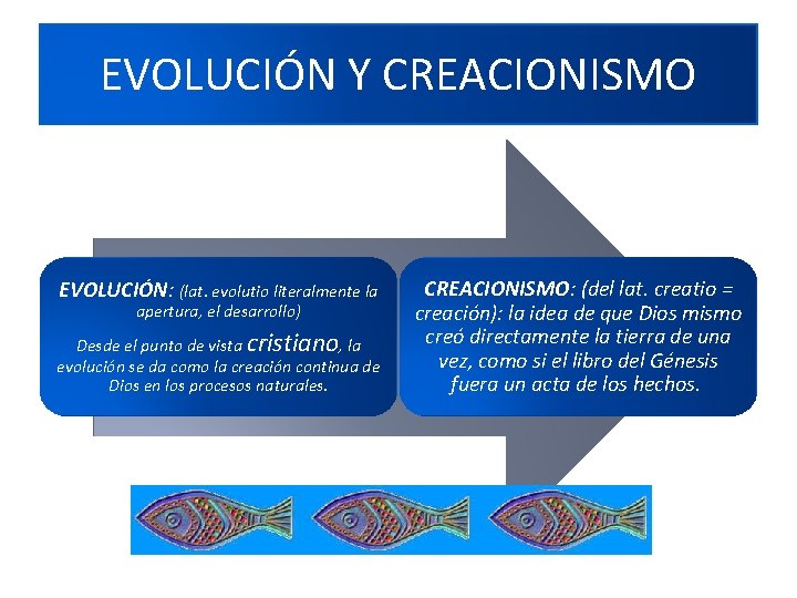 EVOLUCIÓN Y CREACIONISMO EVOLUCIÓN: (lat. evolutio literalmente la apertura, el desarrollo) Desde el punto