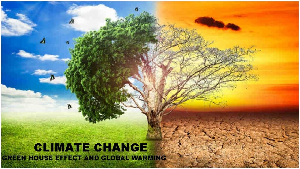 Climate Change Green House Effect And Global Warming