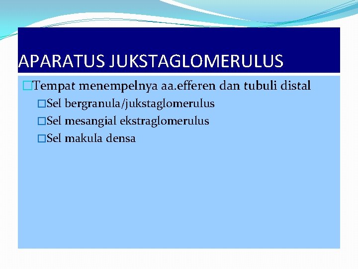 APARATUS JUKSTAGLOMERULUS �Tempat menempelnya aa. efferen dan tubuli distal �Sel bergranula/jukstaglomerulus �Sel mesangial ekstraglomerulus