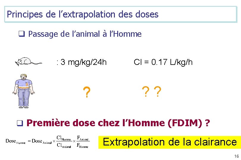 Principes de l’extrapolation des doses q Passage de l’animal à l’Homme : 3 mg/kg/24