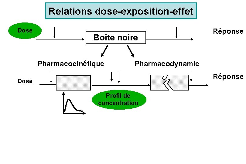 Relations dose-exposition-effet Dose Boite noire Pharmacocinétique Réponse Pharmacodynamie Réponse Dose Profil de concentration 