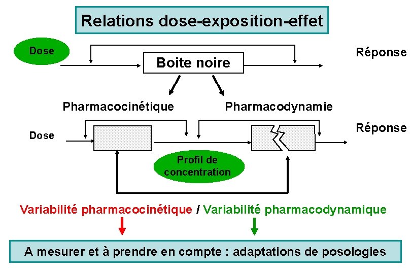 Relations dose-exposition-effet Dose Boite noire Pharmacocinétique Réponse Pharmacodynamie Réponse Dose Profil de concentration Variabilité