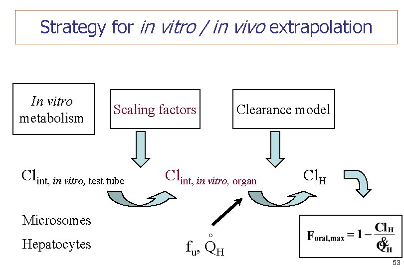 Strategy for in vitro / in vivo extrapolation Scaling factors Clint, in vitro, test