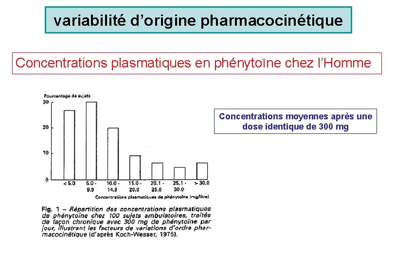 variabilité d’origine pharmacocinétique Concentrations plasmatiques en phénytoïne chez l’Homme Concentrations moyennes après une dose