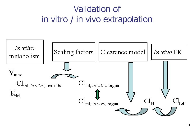 Validation of in vitro / in vivo extrapolation In vitro metabolism Scaling factors Clearance