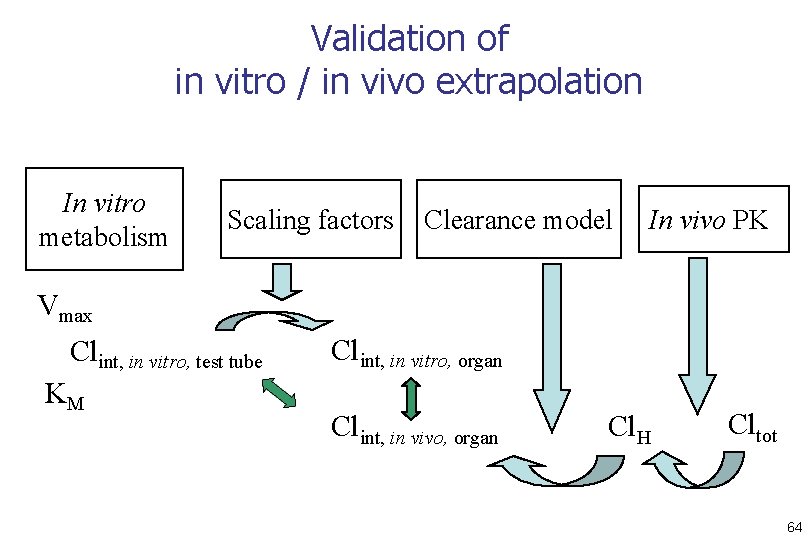 Validation of in vitro / in vivo extrapolation In vitro metabolism Scaling factors Clearance