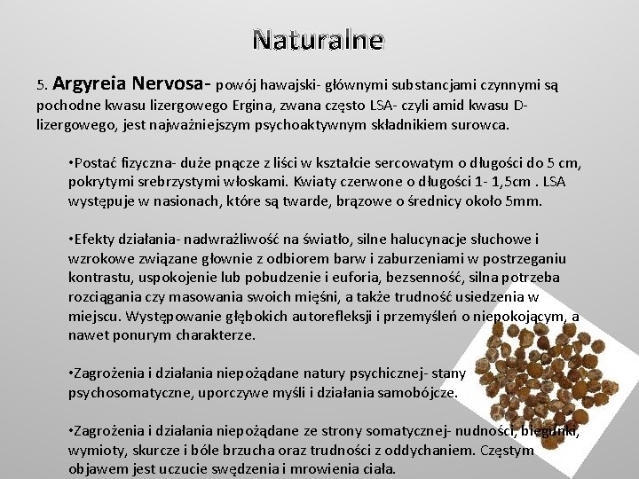 Naturalne 5. Argyreia Nervosa- powój hawajski- głównymi substancjami czynnymi są pochodne kwasu lizergowego Ergina,