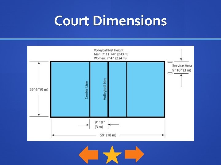 Court Dimensions 