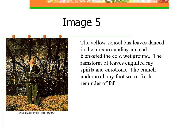 Image 5 The yellow school bus leaves danced in the air surrounding me and