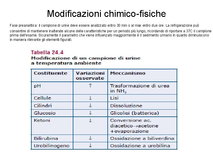 Modificazioni chimico-fisiche Fase preanalitica: il campione di urine deve essere analizzato entro 30 min