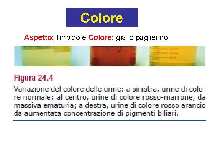 Colore Aspetto: limpido e Colore: giallo paglierino 
