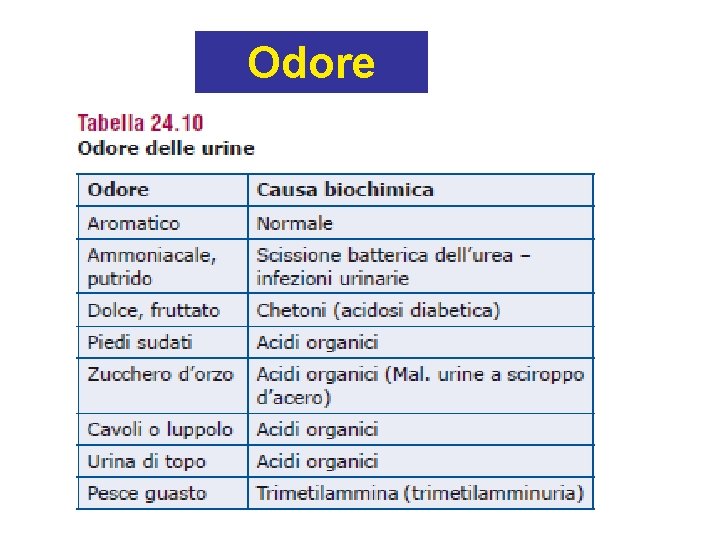 Odore 