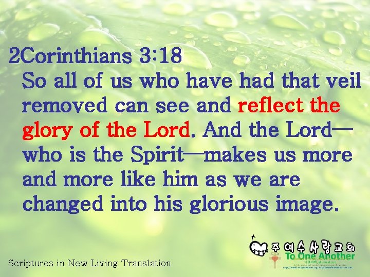 2 Corinthians 3: 18 So all of us who have had that veil removed