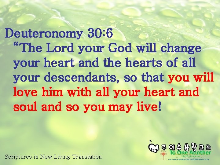 Deuteronomy 30: 6 “The Lord your God will change your heart and the hearts