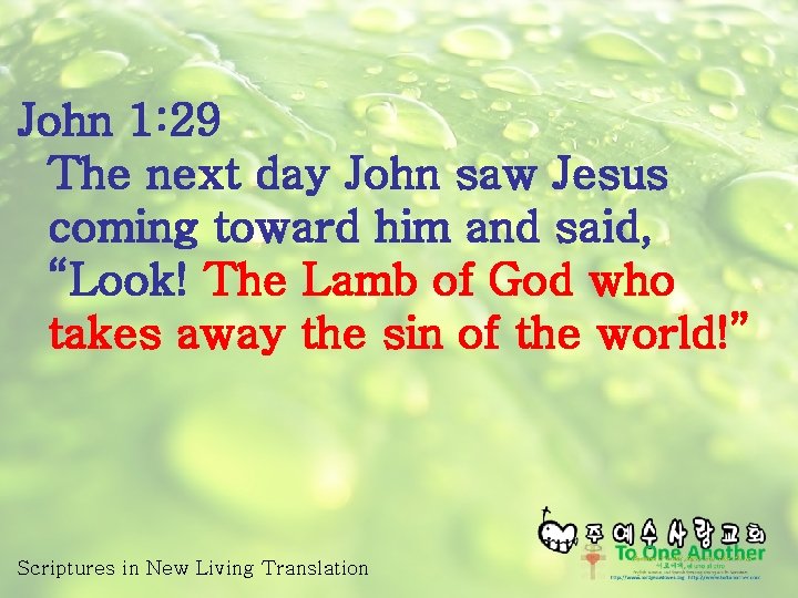 John 1: 29 The next day John saw Jesus coming toward him and said,